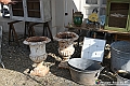 VBS_0804 - Anteprima FloReal 2025